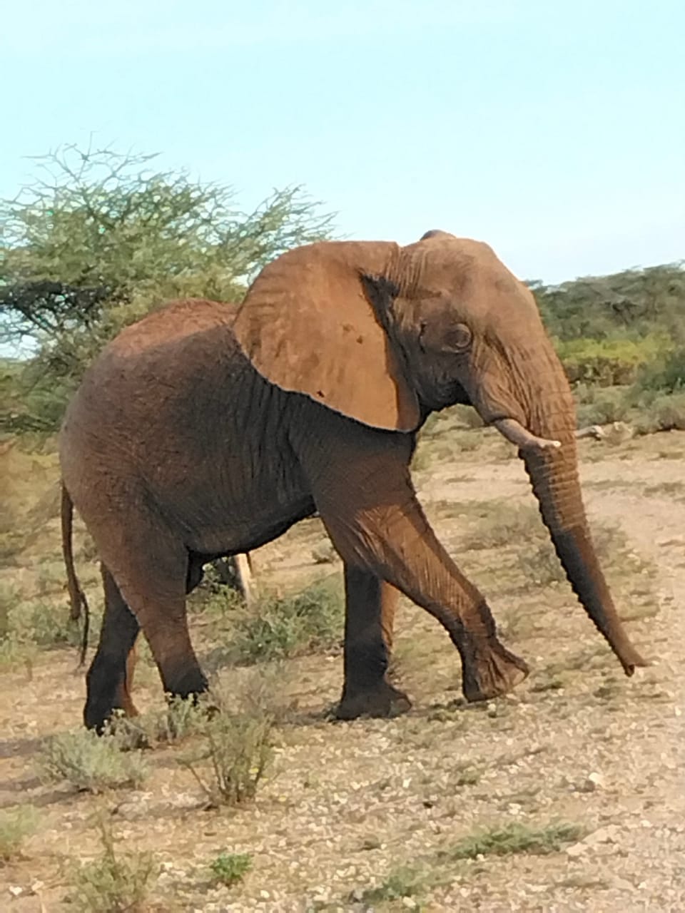 3 Days Amboseli National Park tour