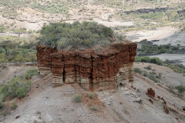 13 Days Kenya - tanzania safari